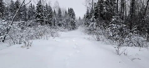 M31&M27 L10, 11 & 3 Madawaska ME 04732