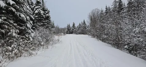M31&M27 L10, 11 & 3 Madawaska ME 04732