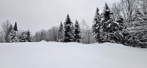 M31&M27 L10, 11 & 3 Madawaska ME 04732