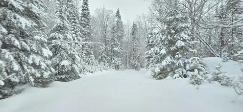 M31&M27 L10, 11 & 3 Madawaska ME 04732