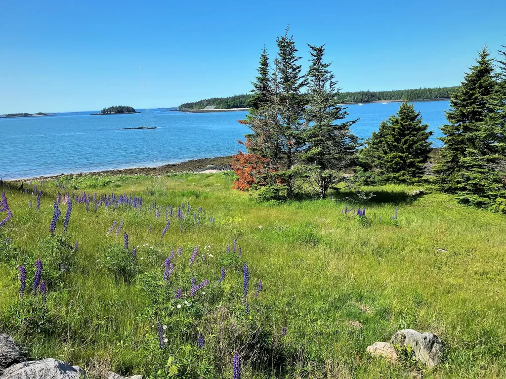 613 Yoho Head Road Machiasport ME 04655