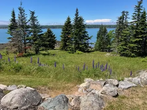 613 Yoho Head Road Machiasport ME 04655
