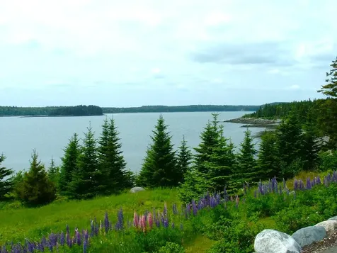 613 Yoho Head Road Machiasport ME 04655