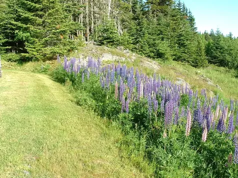613 Yoho Head Road Machiasport ME 04655