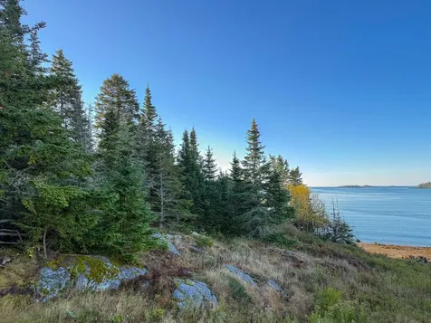 613 Yoho Head Road Machiasport ME 04655