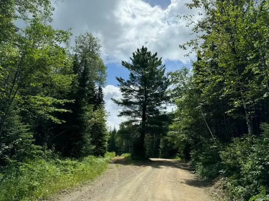 Lot #3 Pleine Road Saint Agatha ME 04772