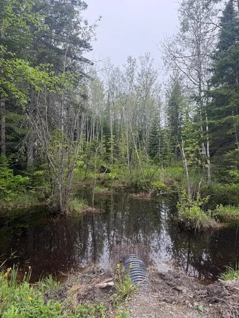 Lot #3 Pleine Road Saint Agatha ME 04772