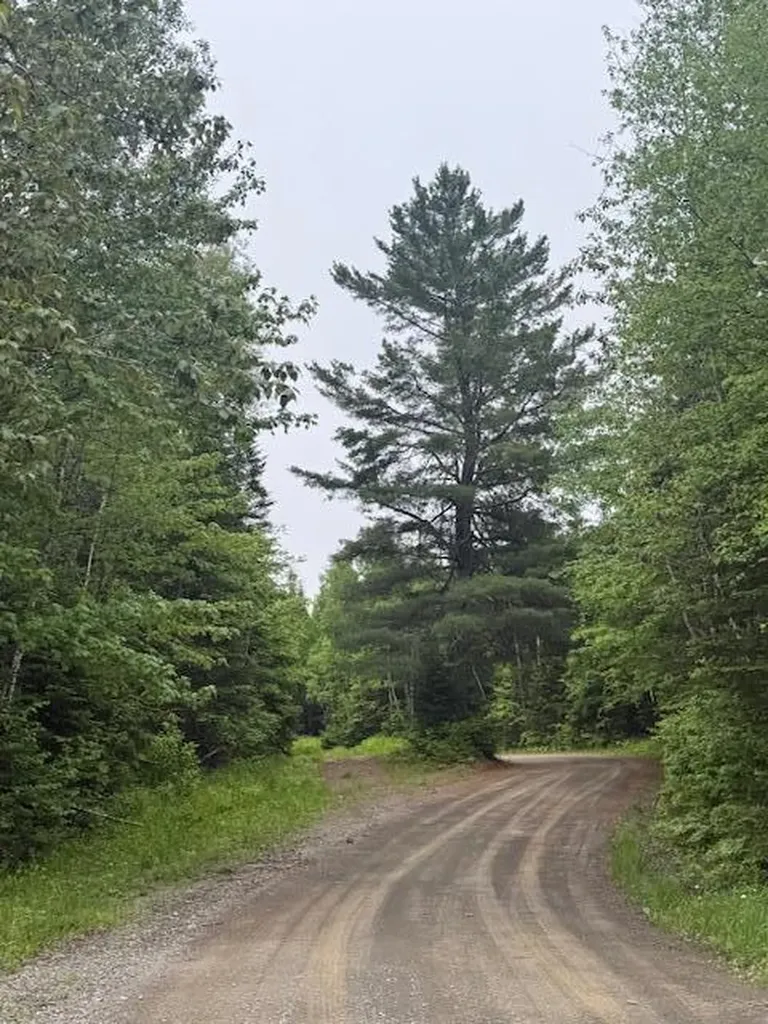 Lot #3 Pleine Road Saint Agatha ME 04772