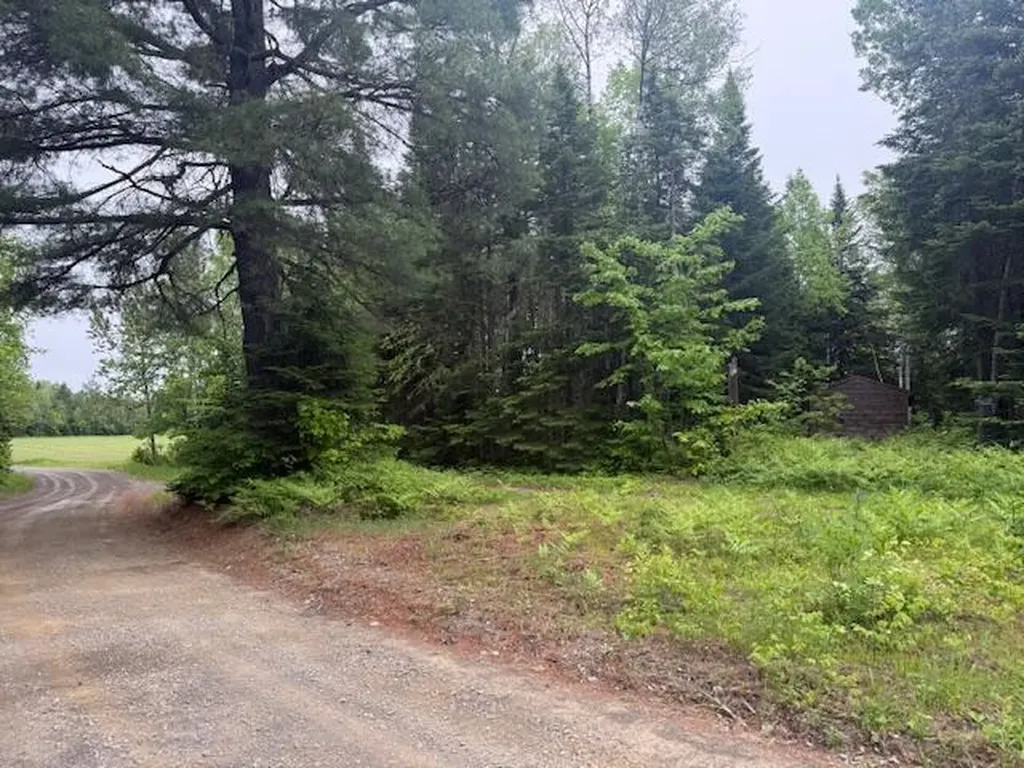 Lot #3 Pleine Road Saint Agatha ME 04772