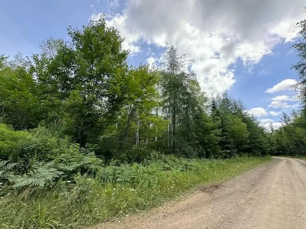 Lot #3 Pleine Road Saint Agatha ME 04772
