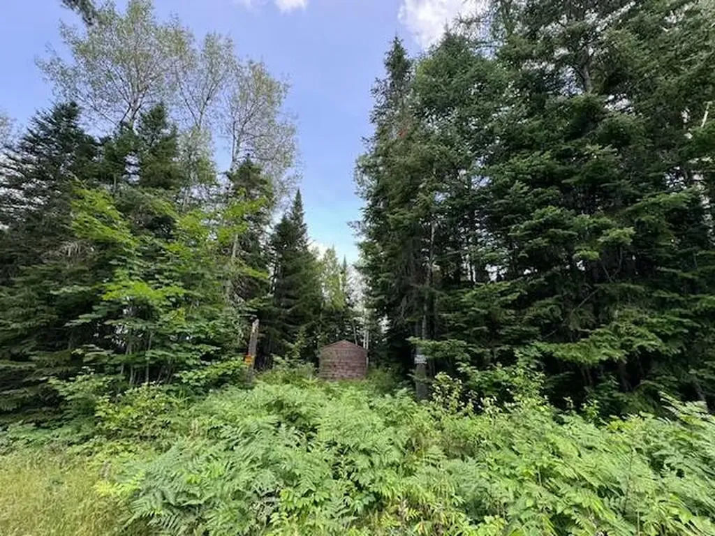 Lot #3 Pleine Road Saint Agatha ME 04772