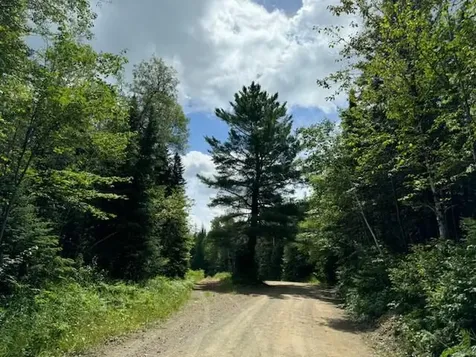 Lot #3 Pleine Road Saint Agatha ME 04772