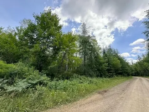 Lot #3 Pleine Road Saint Agatha ME 04772