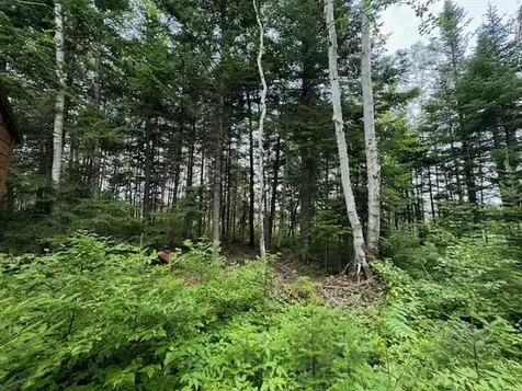 Lot #3 Pleine Road Saint Agatha ME 04772