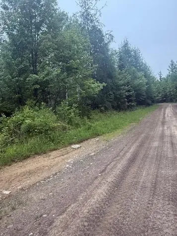 Lot #3 Pleine Road Saint Agatha ME 04772