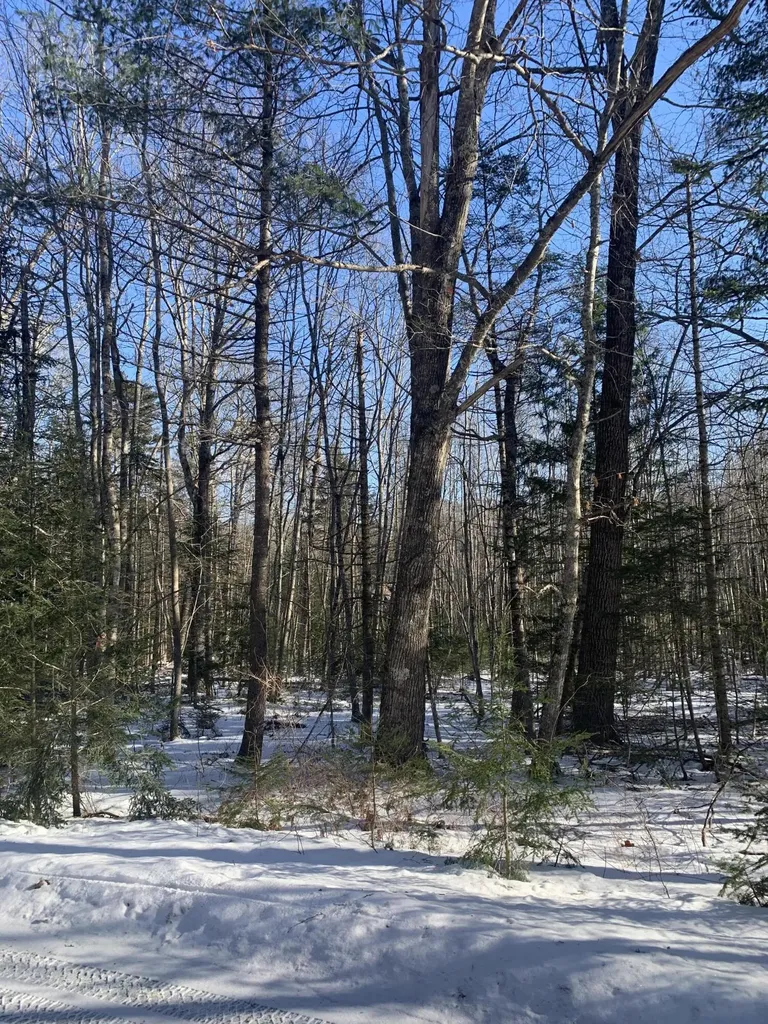 3 Airika-b Drive Lincolnville ME 04849