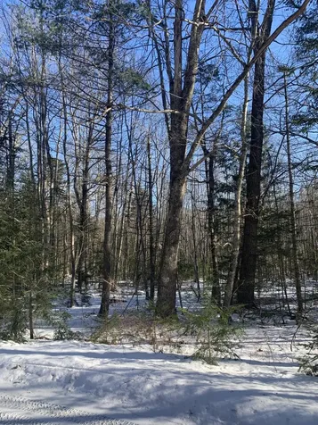 3 Airika-b Drive Lincolnville ME 04849