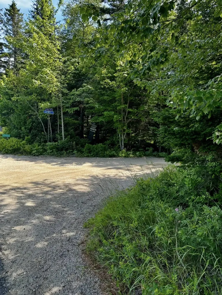 0 Flye Point Brooklin ME 04616