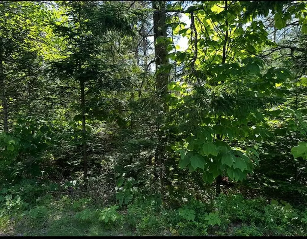 0 Flye Point Brooklin ME 04616