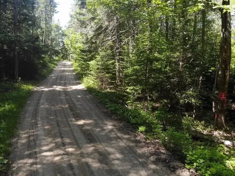 0 Flye Point Brooklin ME 04616