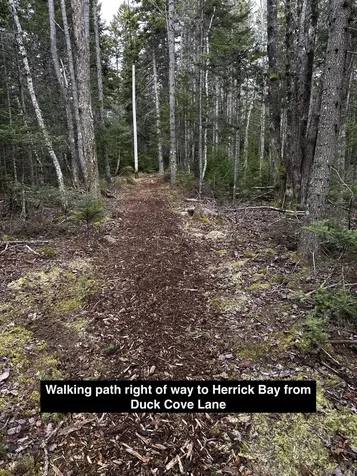 0 Flye Point Brooklin ME 04616
