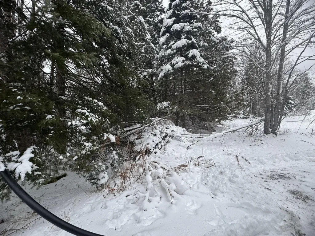 291 New Sweden Road New Sweden ME 04762