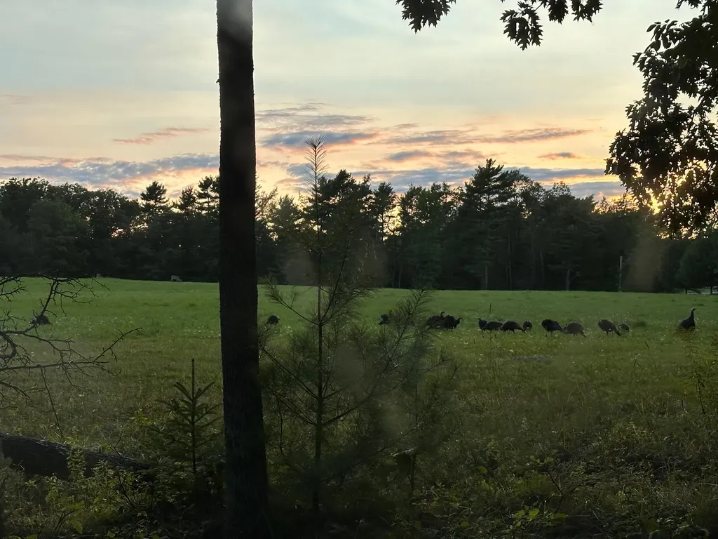 42 Fowler Road Orrington ME 04474