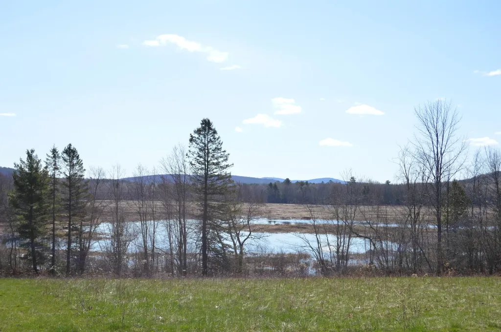 42 Fowler Road Orrington ME 04474