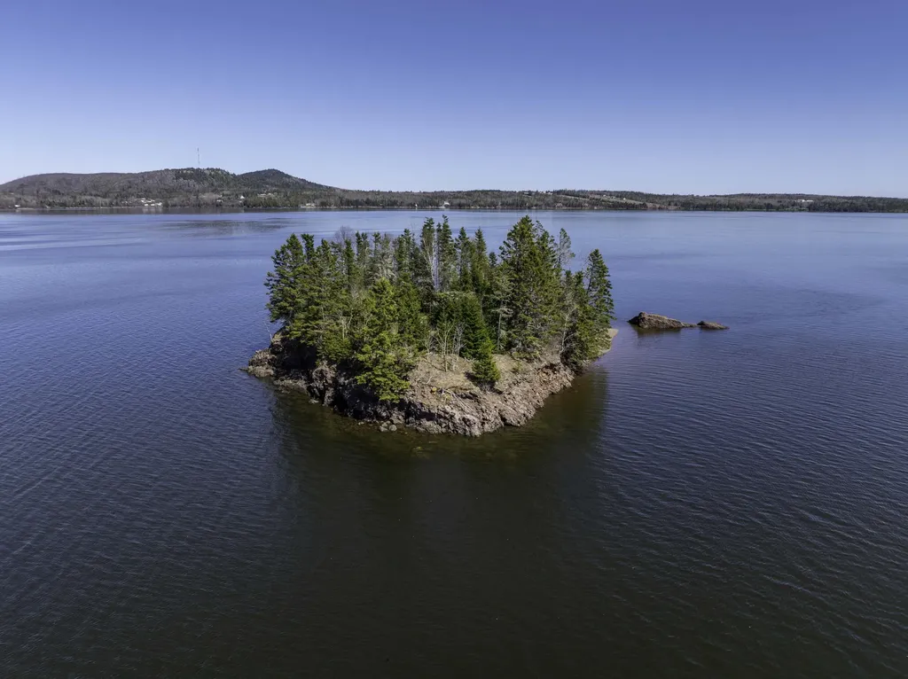MAP3LOT57 Little Doucet Island Robbinston ME 04671