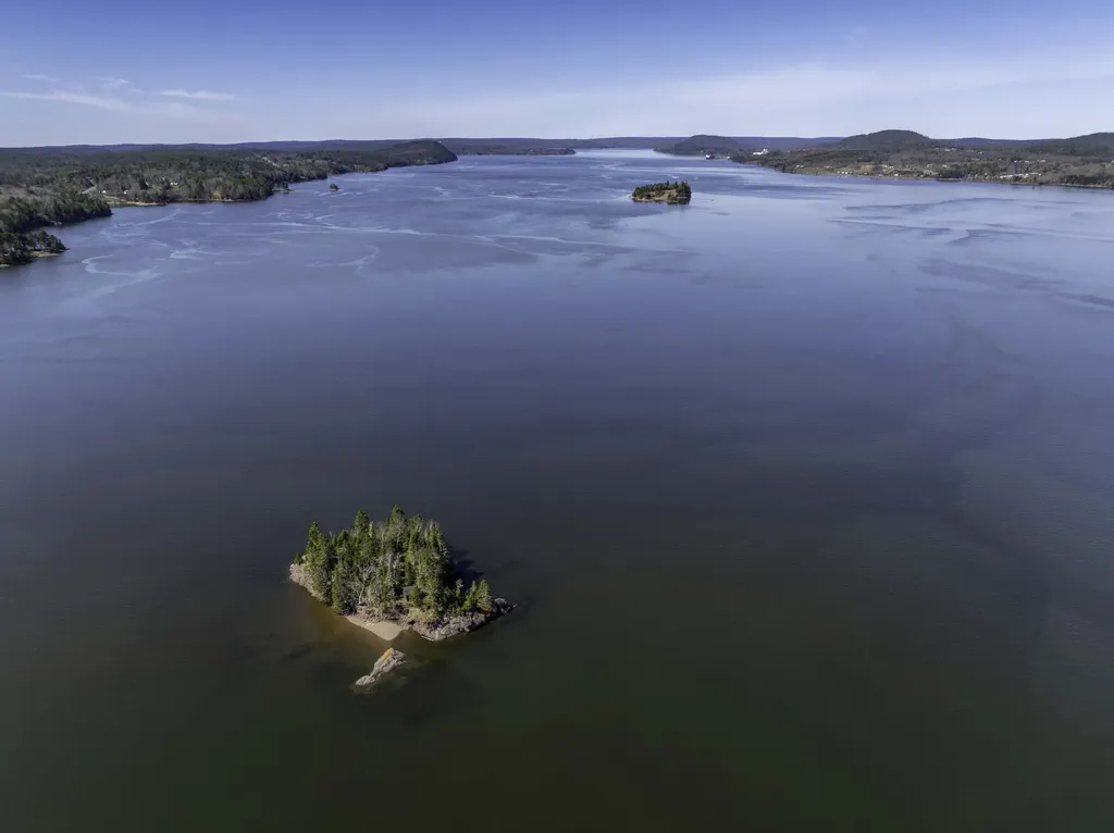 MAP3LOT57 Little Doucet Island Robbinston ME 04671