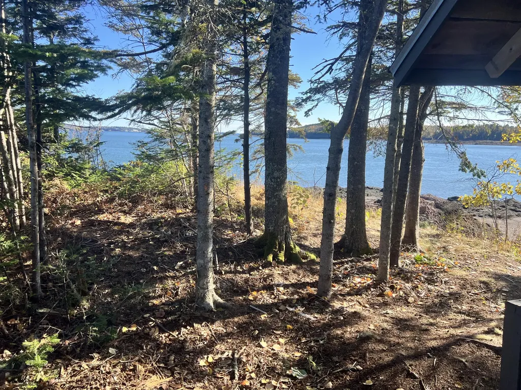 MAP3LOT57 Little Doucet Island Robbinston ME 04671
