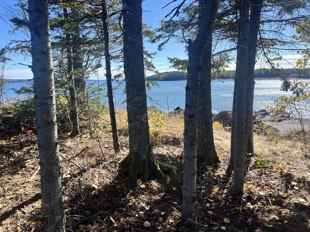 MAP3LOT57 Little Doucet Island Robbinston ME 04671