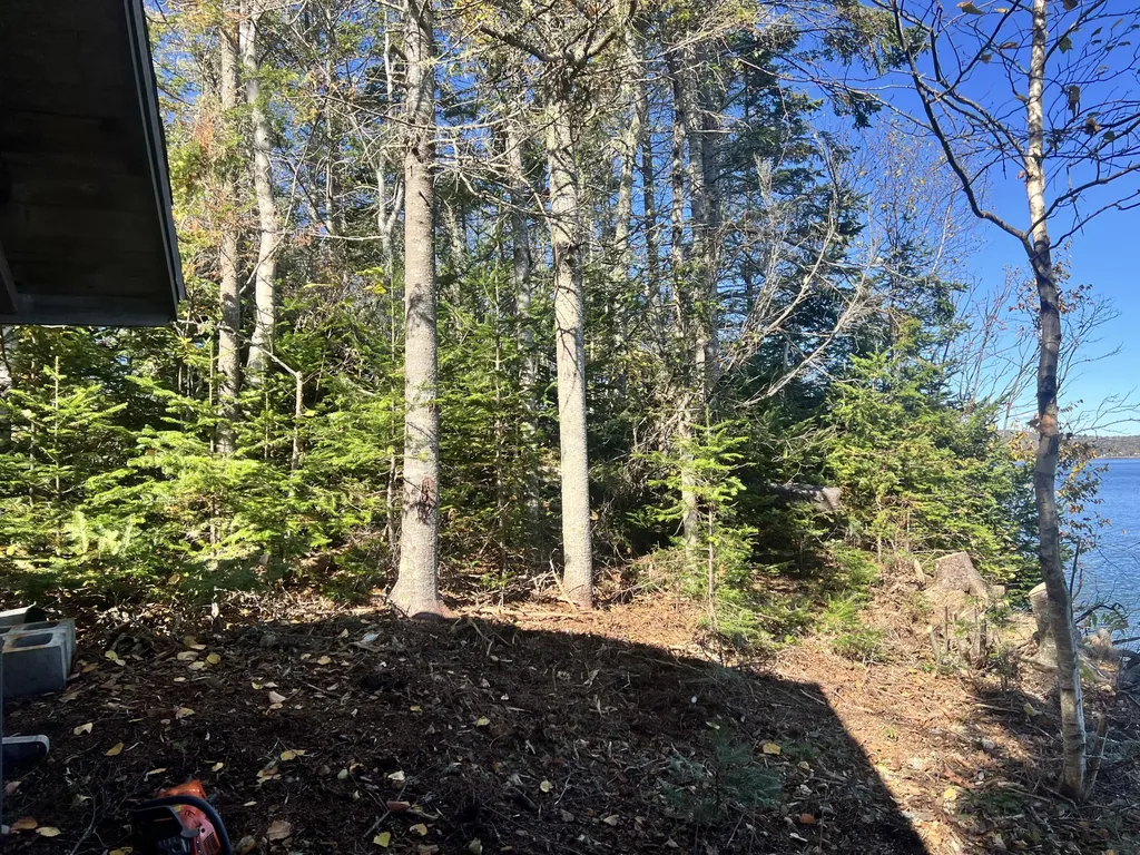 MAP3LOT57 Little Doucet Island Robbinston ME 04671