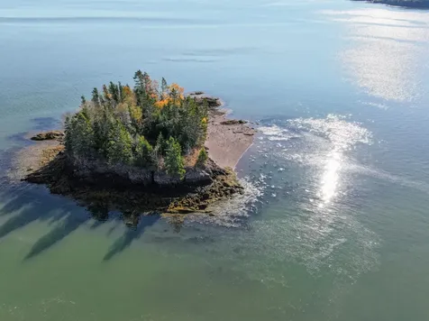 MAP3LOT57 Little Dochet Island Robbinston ME 04671