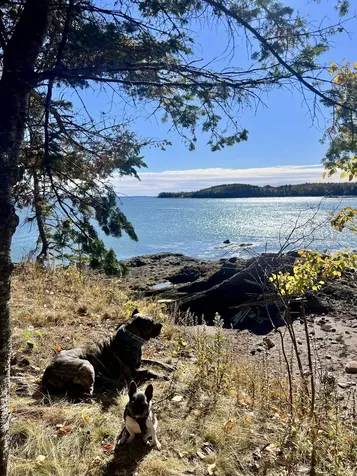 MAP3LOT57 Little Dochet Island Robbinston ME 04671