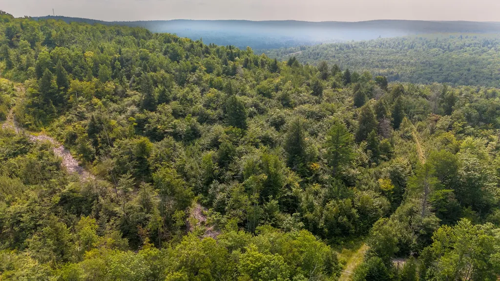 LOT9 Bear Brook Subdivision Sebec ME 04481