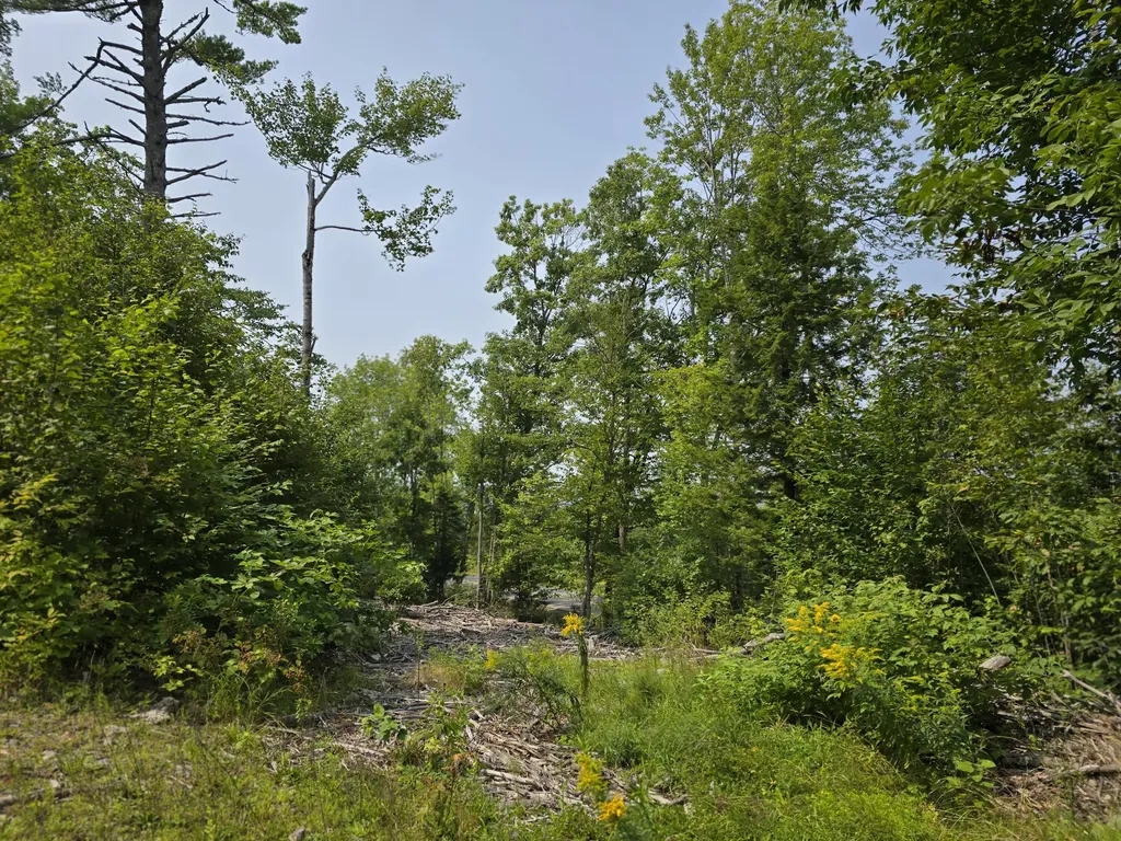 LOT7 Bear Brook Subdivision Sebec ME 04481