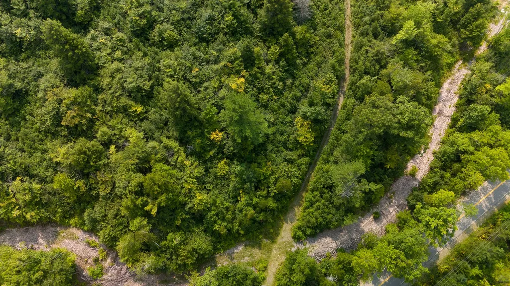 LOT7 Bear Brook Subdivision Sebec ME 04481