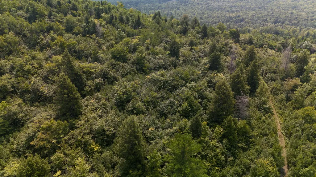 LOT7 Bear Brook Subdivision Sebec ME 04481