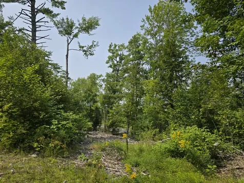 LOT7 Bear Brook Subdivision Sebec ME 04481
