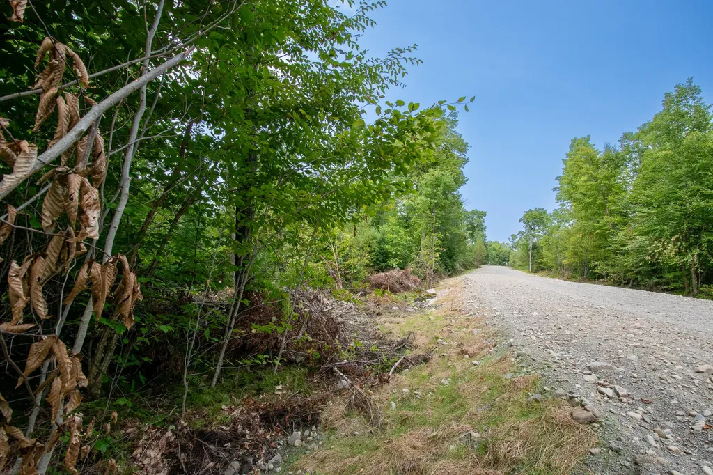 LOT2 Bear Brook Subdivision Sebec ME 04481