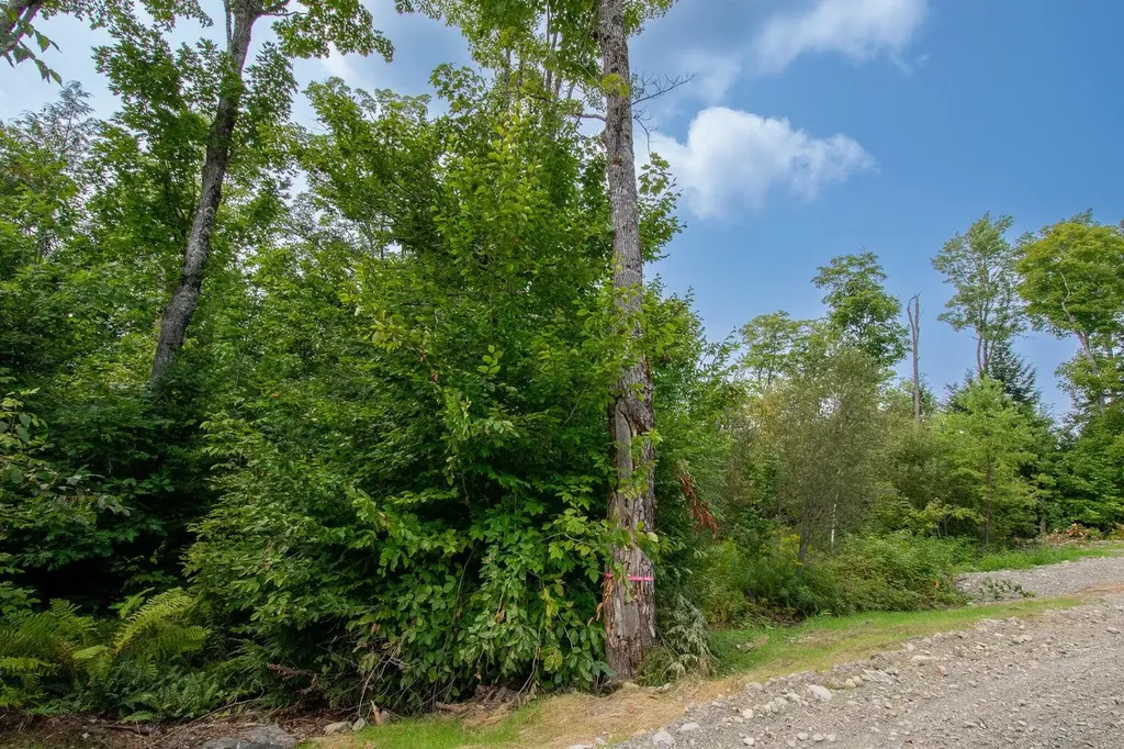 LOT1 Bear Brook Subdivision Sebec ME 04481