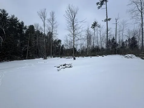 362 Bucksmills Road Bucksport ME 04416