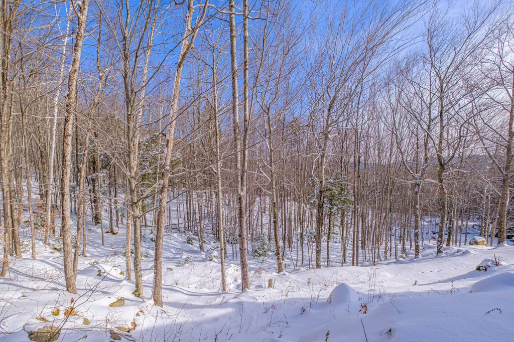 309A Cushman Road Woodstock ME 04219