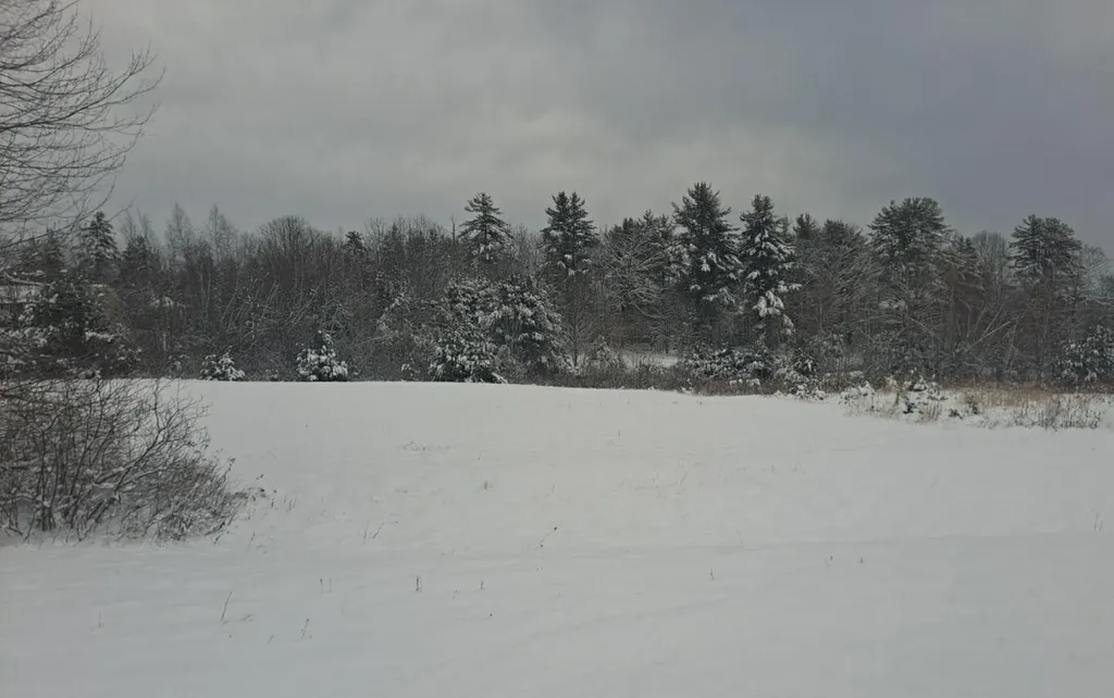 Tbd Sokokis Trail & Beaver Brook Road Limerick ME 04048