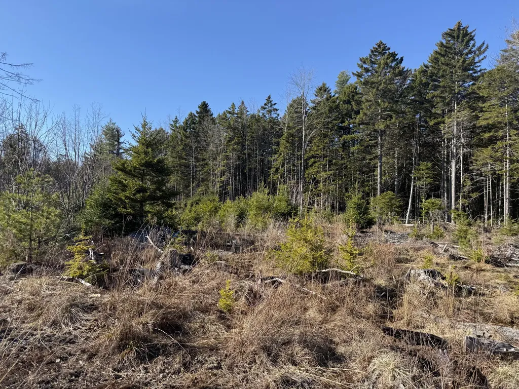 429 Morgan Bay Road Surry ME 04684
