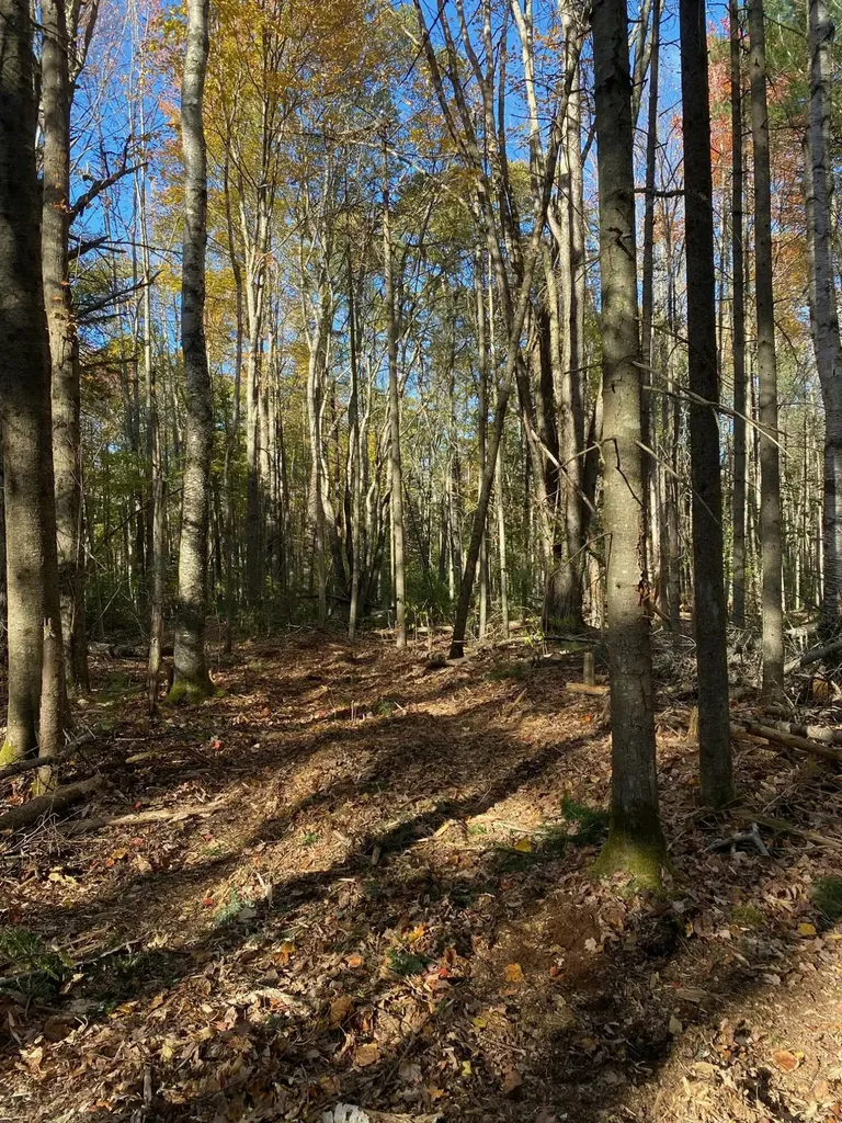 Tbd Log Cabin Road Kennebunkport ME 04046