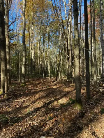Tbd Log Cabin Road Kennebunkport ME 04046