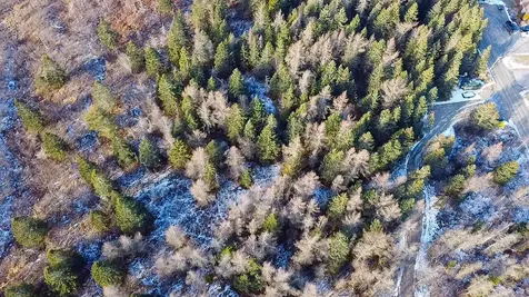 63 Duck Cove Road Roque Bluffs ME 04654
