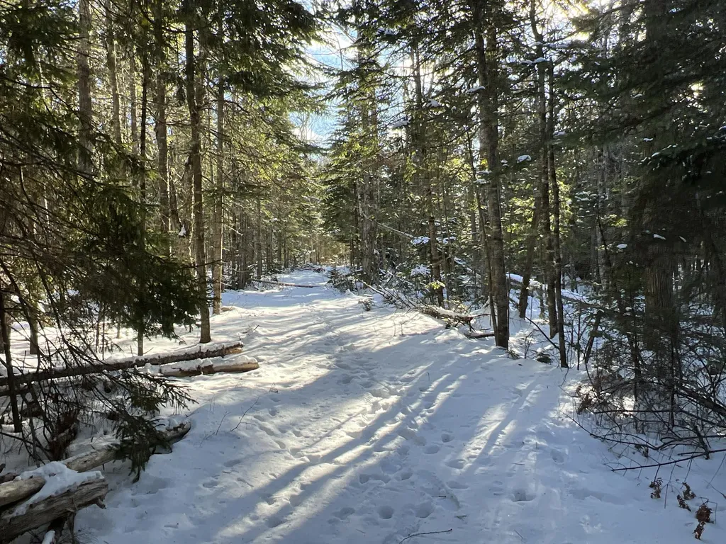 Lot 21-10 Toddy Drive Penobscot ME 04476